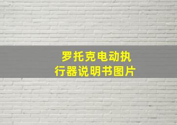 罗托克电动执行器说明书图片