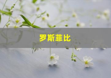 罗斯菲比