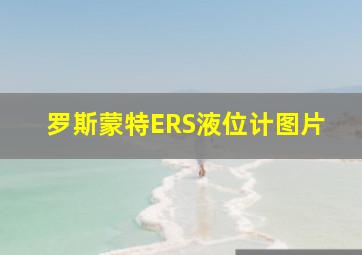 罗斯蒙特ERS液位计图片