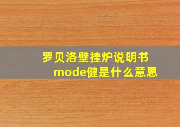 罗贝洛壁挂炉说明书mode健是什么意思