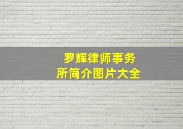 罗辉律师事务所简介图片大全