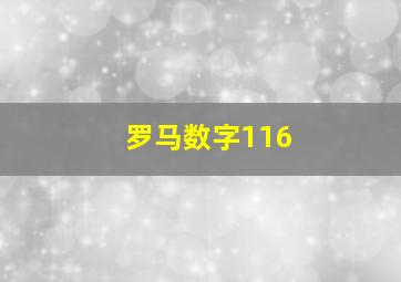 罗马数字116