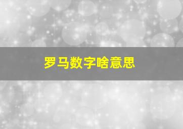 罗马数字啥意思