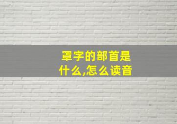 罩字的部首是什么,怎么读音