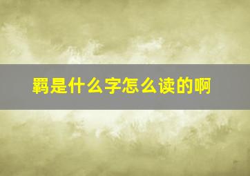 羁是什么字怎么读的啊