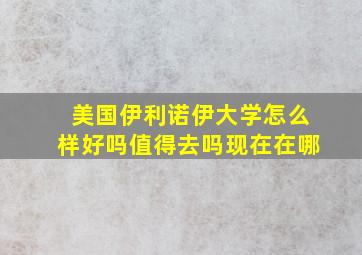 美国伊利诺伊大学怎么样好吗值得去吗现在在哪