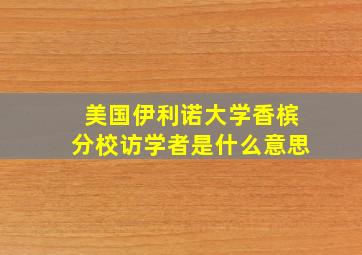 美国伊利诺大学香槟分校访学者是什么意思