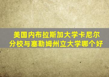 美国内布拉斯加大学卡尼尔分校与塞勒姆州立大学哪个好