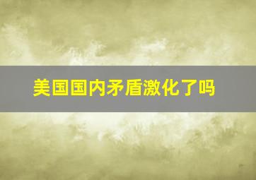 美国国内矛盾激化了吗