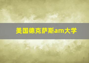 美国德克萨斯am大学