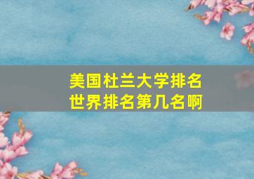 美国杜兰大学排名世界排名第几名啊