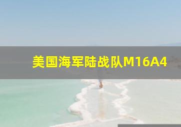 美国海军陆战队M16A4