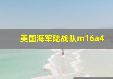 美国海军陆战队m16a4