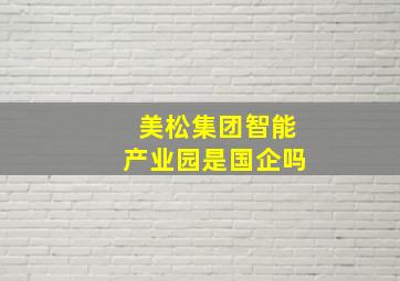 美松集团智能产业园是国企吗