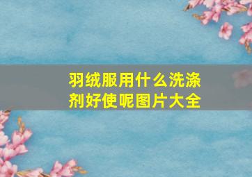 羽绒服用什么洗涤剂好使呢图片大全