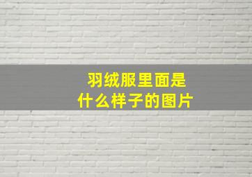 羽绒服里面是什么样子的图片