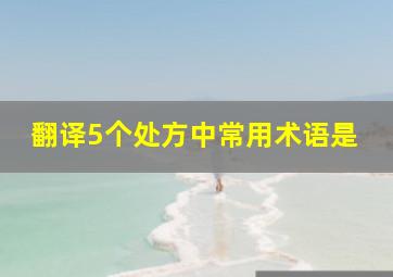 翻译5个处方中常用术语是