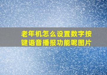 老年机怎么设置数字按键语音播报功能呢图片