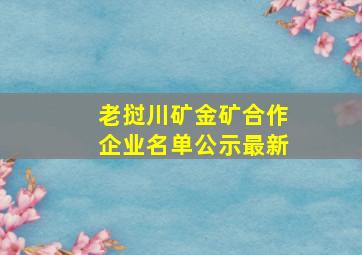 老挝川矿金矿合作企业名单公示最新