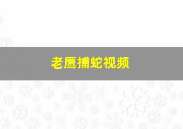 老鹰捕蛇视频