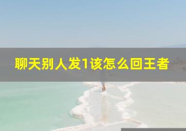 聊天别人发1该怎么回王者