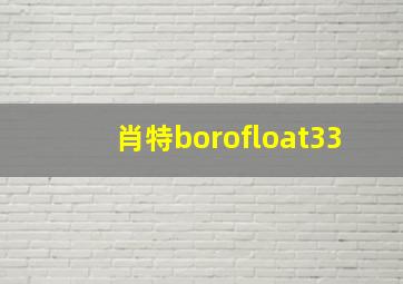 肖特borofloat33