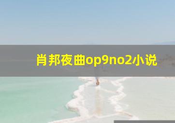 肖邦夜曲op9no2小说