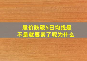 股价跌破5日均线是不是就要卖了呢为什么