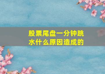 股票尾盘一分钟跳水什么原因造成的