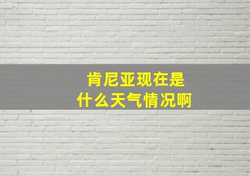 肯尼亚现在是什么天气情况啊