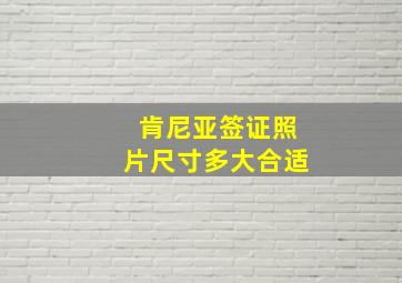 肯尼亚签证照片尺寸多大合适