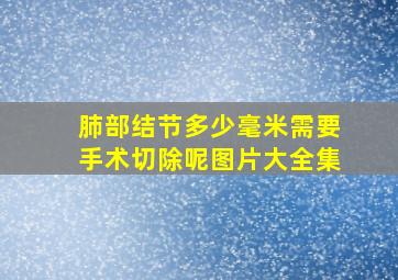 肺部结节多少毫米需要手术切除呢图片大全集