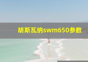 胡斯瓦纳swm650参数