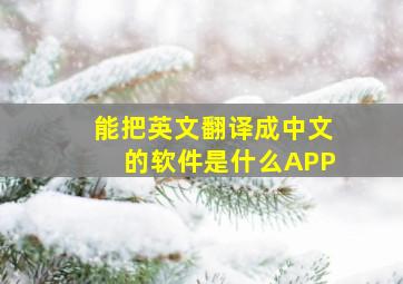 能把英文翻译成中文的软件是什么APP