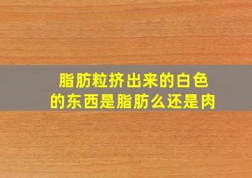 脂肪粒挤出来的白色的东西是脂肪么还是肉