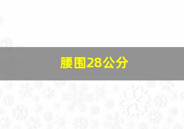 腰围28公分