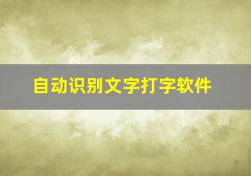 自动识别文字打字软件