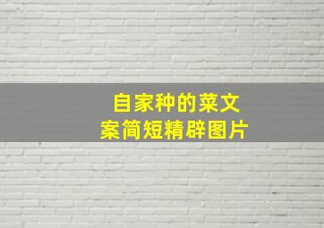 自家种的菜文案简短精辟图片