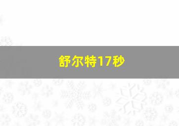 舒尔特17秒