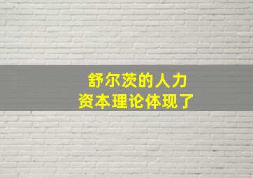 舒尔茨的人力资本理论体现了