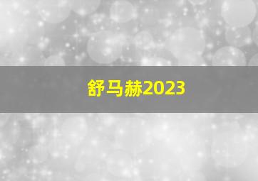 舒马赫2023