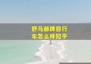 舒马赫牌自行车怎么样知乎