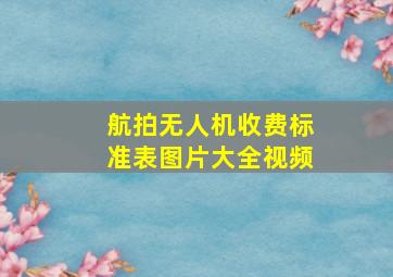 航拍无人机收费标准表图片大全视频