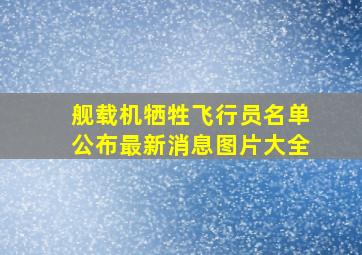 舰载机牺牲飞行员名单公布最新消息图片大全