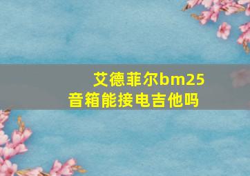 艾德菲尔bm25音箱能接电吉他吗