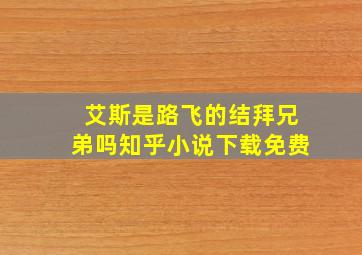 艾斯是路飞的结拜兄弟吗知乎小说下载免费