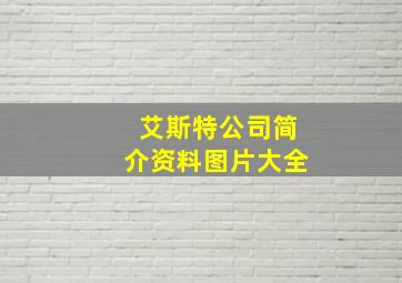 艾斯特公司简介资料图片大全