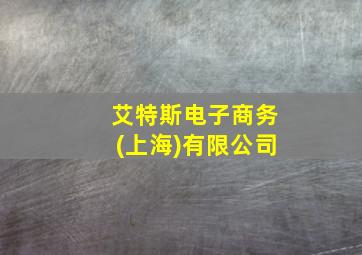 艾特斯电子商务(上海)有限公司