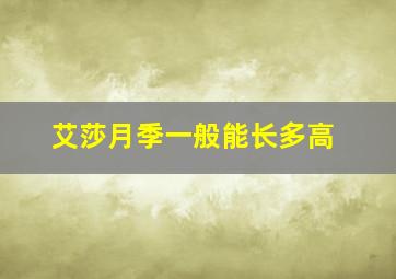 艾莎月季一般能长多高