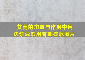 艾蒿的功效与作用中用法禁忌妙用有哪些呢图片